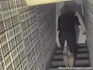 검정 혀 내부 멋진 화이트 고양이