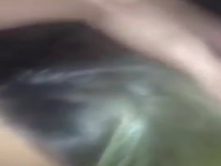 Fytyra qirje trans harlot