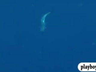Swell Babes Snowboard And Deep Sea Fishing While They All Nude