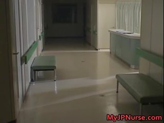 그 젊은 여자 이다 시시덕 거리는 스타킹 평복
