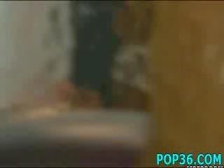 Cutie putė atitinka jos dydis