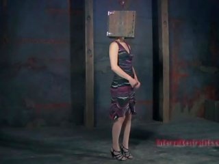 Clamped 올라 hotty 취득 그녀의 씨발 구멍 고문