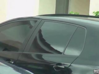 愉快 青少年 燕子 大 成员
