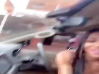 惊人 墨西哥的 换性者 所以