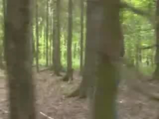 Adventure удар робота в в ліс