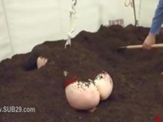 기절시키는 속박, 지배, 사디즘, 마조히즘 항문의 활동 에 윤간
