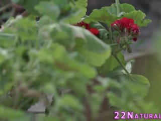 유럽의 매력 빨기 과 얼굴의