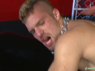 The spider catches a hawt fly