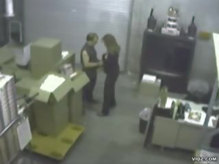 Rossa pollastrella beccato succhiare il stockman
