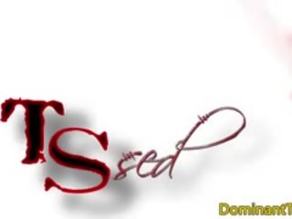 Dominant ts pleasured by her slaves
